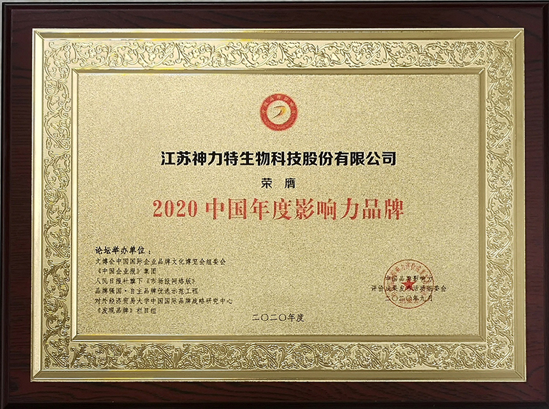 6、2020中國年度影響力品牌.jpg